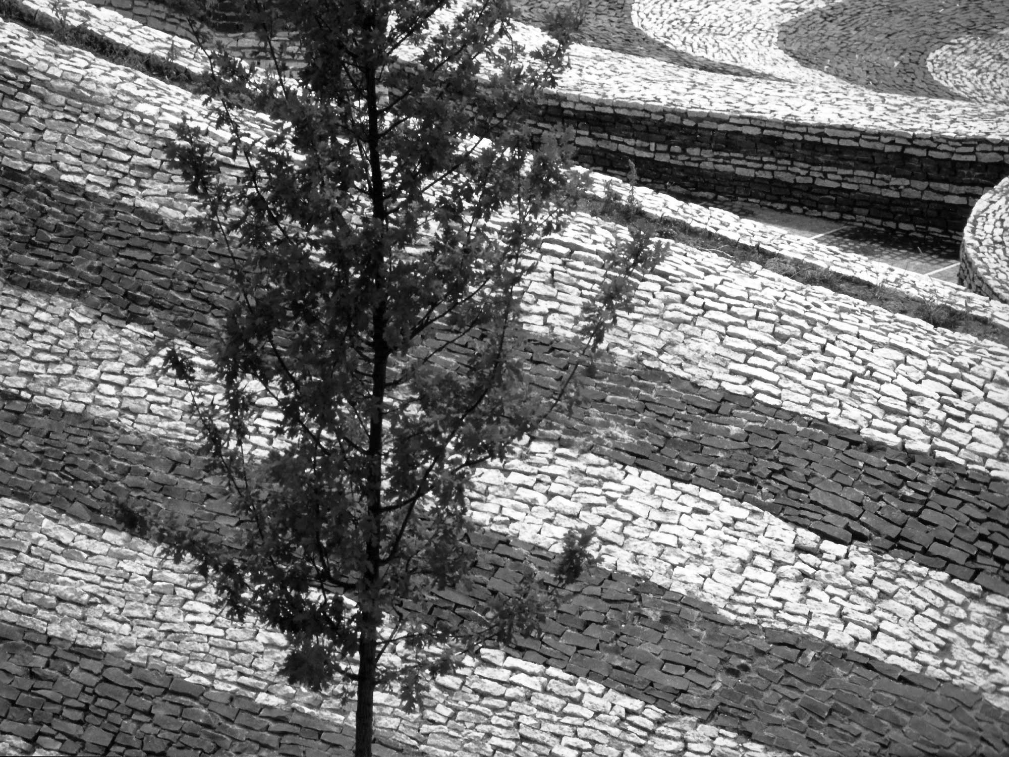 16 - Piazza con monumento commemorativo a Tuscania (VT) - Vista di dettaglio della pavimentazione