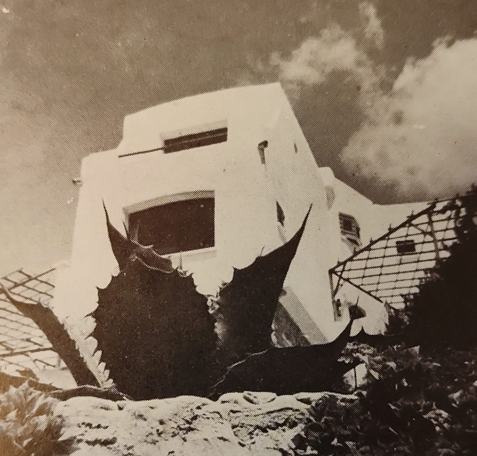 5 - Villa dell'architetto a S. Felice Circeo, 1958