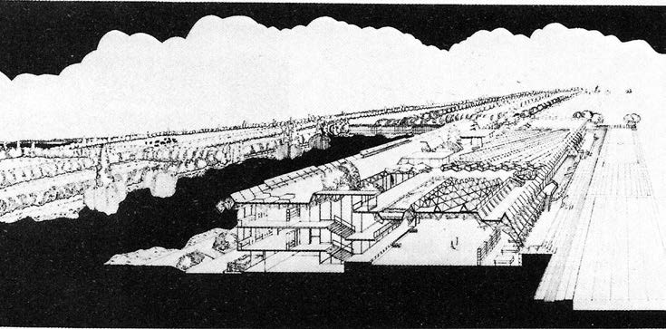 10. Progetto di massima di istituto agrario a Maccarese (RM), in gruppo, concorso nazionale, 1978 – Vista prospettica dall’alto