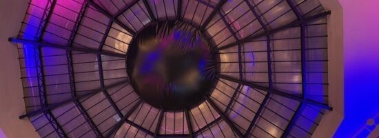 IMG_9905